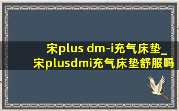 宋plus dm-i充气床垫_宋plusdmi充气床垫舒服吗